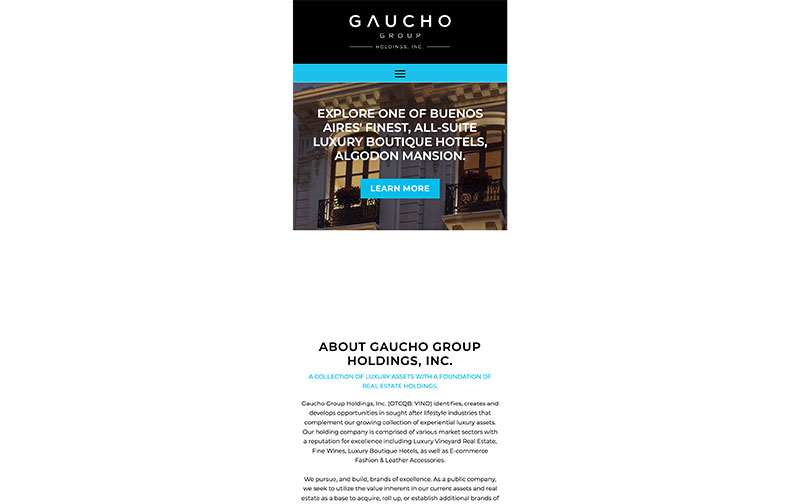 Gaucho Group Holdings, Inc. 06.jpg