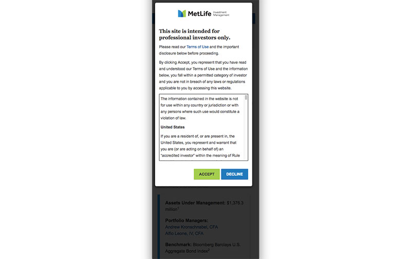 MetLife Investment Management 20.jpg