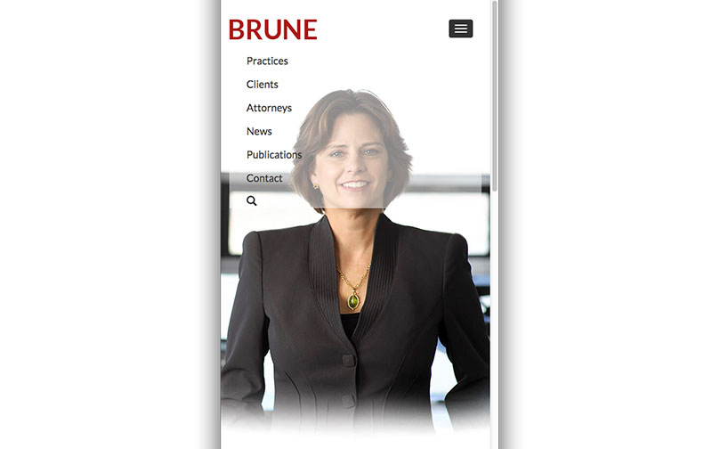 Brune Law 08.jpg